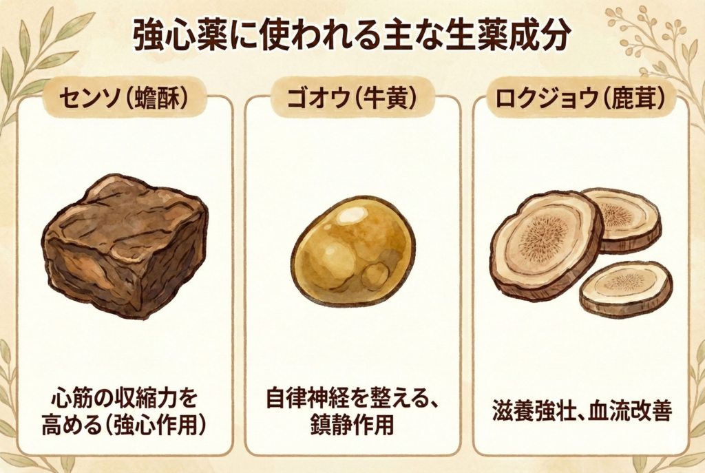 「センソ（蟾酥）」「ゴオウ」や「鹿茸（ロクジョウ）」